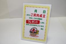 ����¥��POP��5������